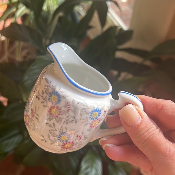 Tiny Pitcher - Picture 5 of 8